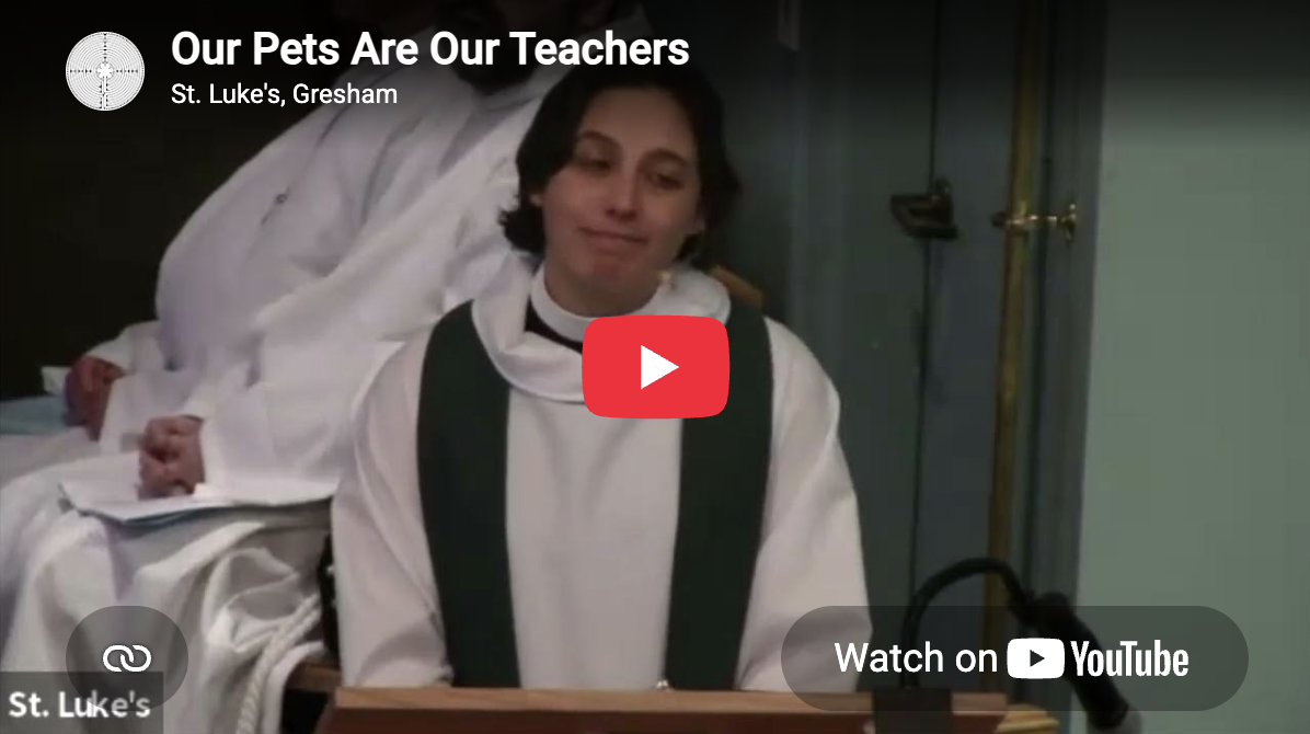 Our Pets Are Our Teachers